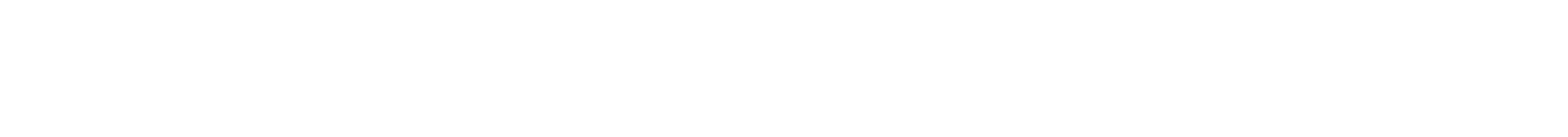 Game Designer
